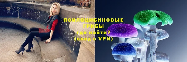 прущая мука Бронницы