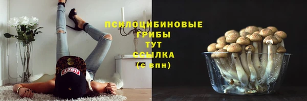 ALPHA PVP Бородино
