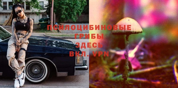 прущая мука Бронницы