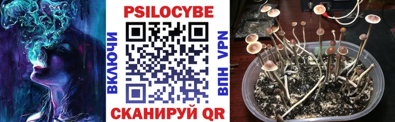 купить   Сосногорск  Галлюциногенные грибы прущие грибы 